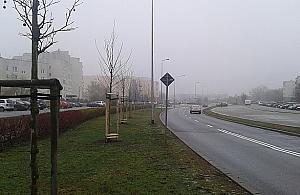 Uderzająca pustka na Żołnierzy Wyklętych. Zmieńmy to!