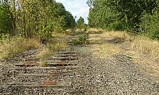 Malowniczym szlakiem prosto na plażę przy Bardowskiego