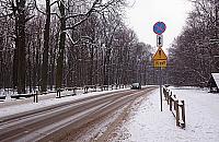 Wojna o Las Bielański. Autobus przez Dewajtis i Lindego?