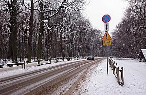 Wojna o Las Bielański. Autobus przez Dewajtis i Lindego?