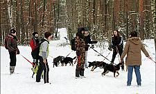 Okradał bezdomne zwierzęta. Wyniósł pół tony karmy