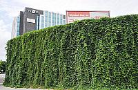 Ekrany akustyczne - zamalować czy wysadzić?