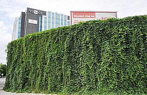 Ekrany akustyczne - zamalować czy wysadzić?