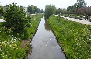 Bródno ma promenadę nad Kanałem. A Białołęka?