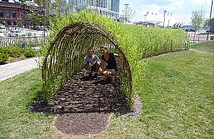 Ekopark na Jelonkach? Wszystko zależy od mieszkańców