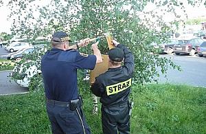 Jakie zwierzęta grasują po ulicach i bezdrożach Białołęki?