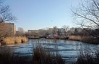 Kaczki, słonie i foki nad stawami Brustmana