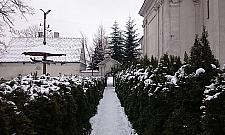 Unikat na skalę światową