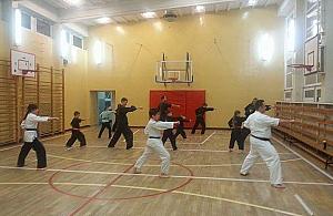 Na nudę? Karate! W dodatku za darmo