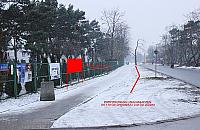 Krótki poradnik radzenia sobie z choinkami