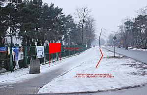 Krótki poradnik radzenia sobie z choinkami