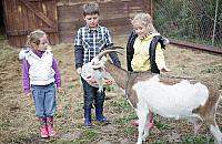 Br�dno jest wyj�tkowe! Mamy wie� w �rodku blokowiska