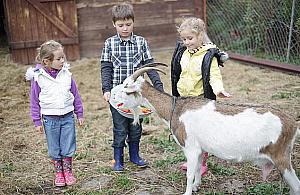 Bródno jest wyjątkowe! Mamy wieś w środku blokowiska