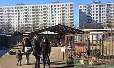 Bródno jest wyjątkowe! Mamy wieś w środku blokowiska