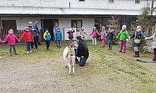 Bródno jest wyjątkowe! Mamy wieś w środku blokowiska