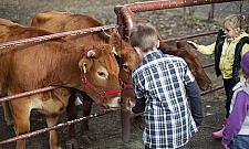 Bródno jest wyjątkowe! Mamy wieś w środku blokowiska