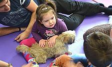 Przedszkole z rehabilitacją - Koocham pod Nieporętem