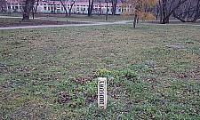 Po remoncie Trasy AK pozostał nam hałas i łyse trawniki