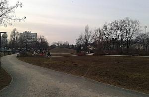 Czego brakuje w Parku Olszyna?