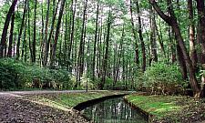 Czego brakuje w Parku Olszyna?