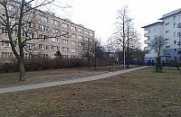 Zbudujemy na Wrzecionie plac zabaw dla psów? "Wybiegi rozczarowują"