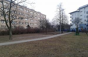 Zbudujemy na Wrzecionie plac zabaw dla psów? "Wybiegi rozczarowują"