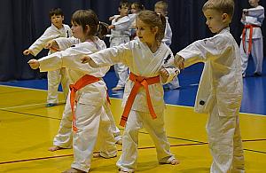 Karate - od dziecka do czarnego pasa. Masters Dojo trenuje całe rodziny