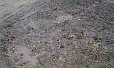 Budujemy boiska i place zabaw w parku Górczewska. Kiedy wreszcie przybędzie drzew?