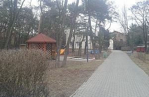 Przetarg, którego nie było. Nowa szkoła w miejsce Bajkowego Domu