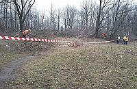 Na Żeraniu zaczynają wycinkę drzew. Nie pod gazociąg