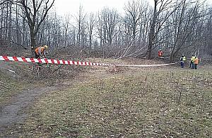 Na Żeraniu zaczynają wycinkę drzew. Nie pod gazociąg
