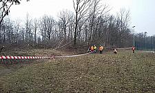 Na Żeraniu zaczynają wycinkę drzew. Nie pod gazociąg