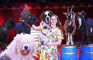 Cyrk ze zwierzętami przyjechał na Tarchomin