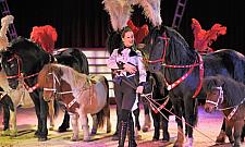 Cyrk ze zwierzętami przyjechał na Tarchomin