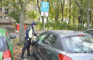 Fala hejtu wobec straży miejskiej. Czy strażnicy są nam potrzebni?