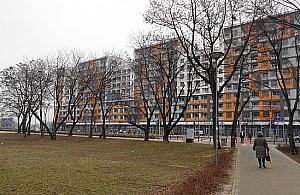 Słodowiec City gotowy. A co z Serkiem?