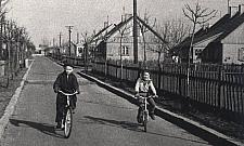 Wolnościowa i nieobyczajna odtrutka na szarzyznę. Historia Osiedla Przyjaźń