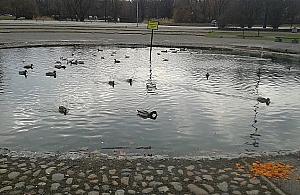 Zespół fontann odmieni park Szymańskiego