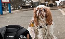 Magiczny Wawer na zdjęciach grupy FotoFalenica