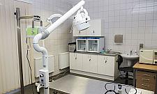 Leczą ranne lisy, jeże a nawet nietoperze. W Marysinie działa Ośrodek Rehabilitacji Zwierząt