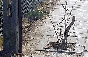 Niech żyje polska myśl techniczna!