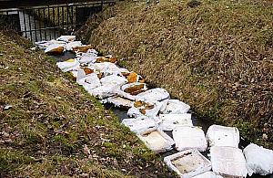 Najdziwniejsze dzikie wysypisko ostatnich miesięcy