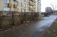 Przemiana podwórek na Bródnie. "Przegonimy szarość blokowiska"