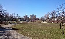 Wielki powrót parku Herberta. "Zbudujemy amfiteatr"