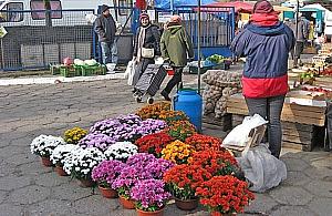 Na nowy bazar w Falenicy jeszcze poczekamy