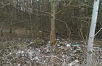 Czas na wiosenne porządki. "Po co udawać, że tego nie widzimy?"