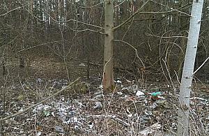 Czas na wiosenne porządki. "Po co udawać, że tego nie widzimy?"