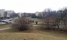 Drzewa w parku Górczewska chorują. Szykuje się wielka wycinka?