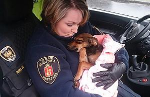 Strażnicy uratowali psa na Tyszkiewicza