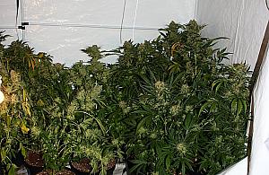 Przez sąsiedzką zawiść biznesu nie będzie